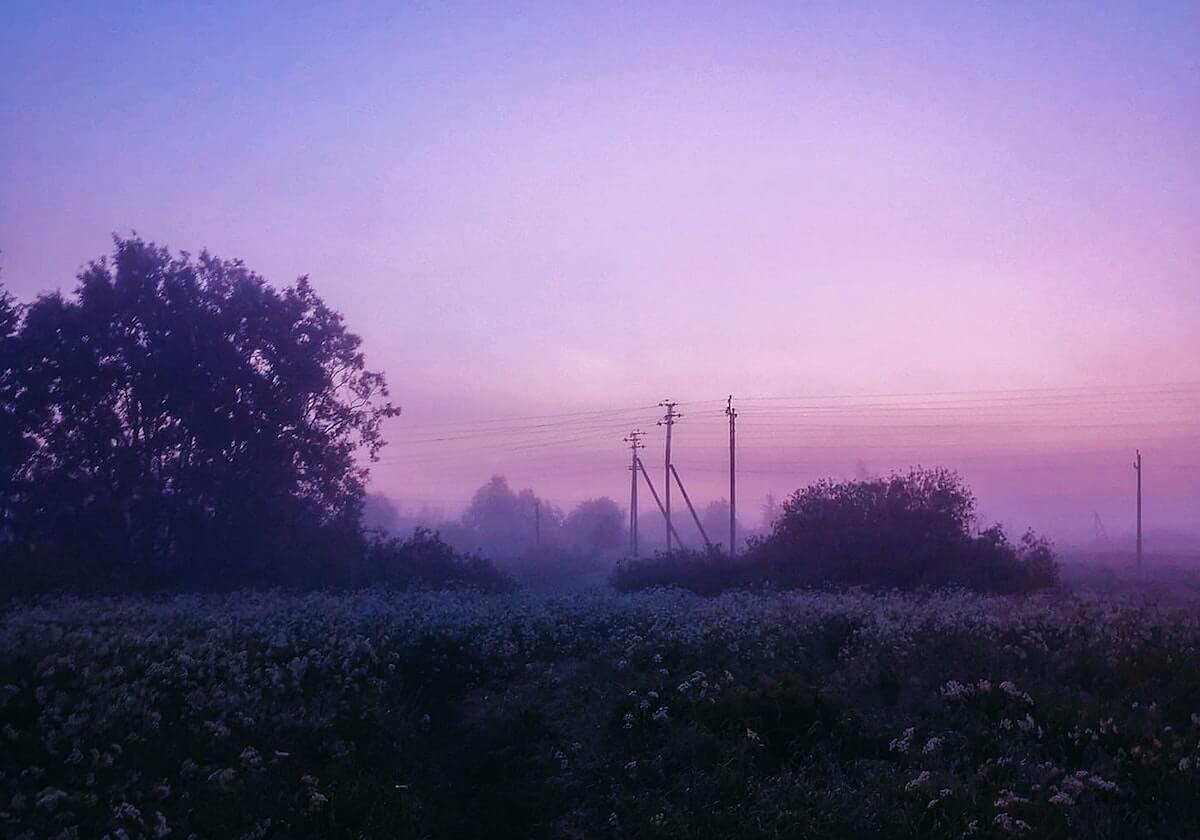 华体会登录入口：开启你的专属体育智能体验